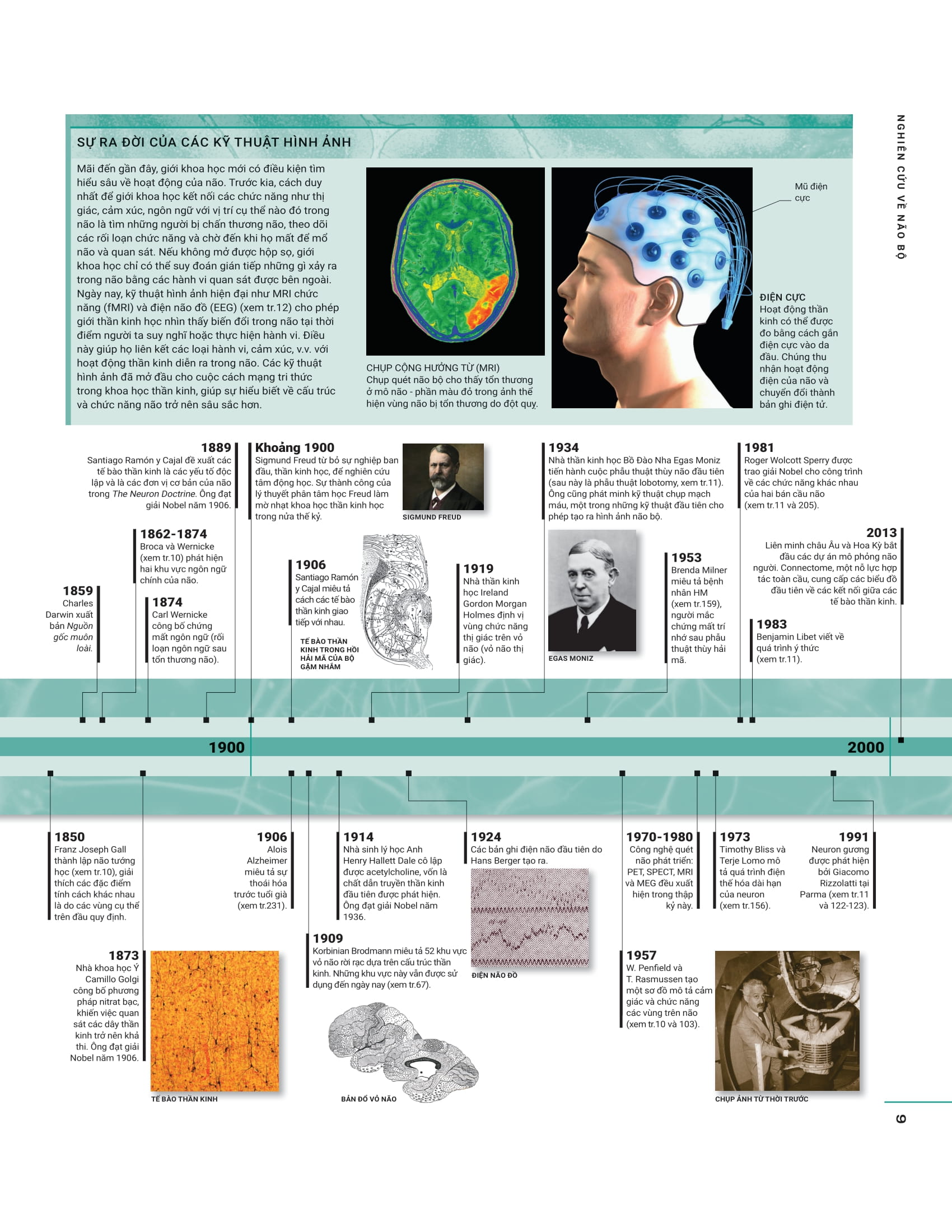 The Brain Book - Não Chúng Ta Có Gì Và Làm Gì? - Bìa Cứng PDF The Brain Book - Não Chúng Ta Có Gì Và Làm Gì? - Bìa Cứng PDF