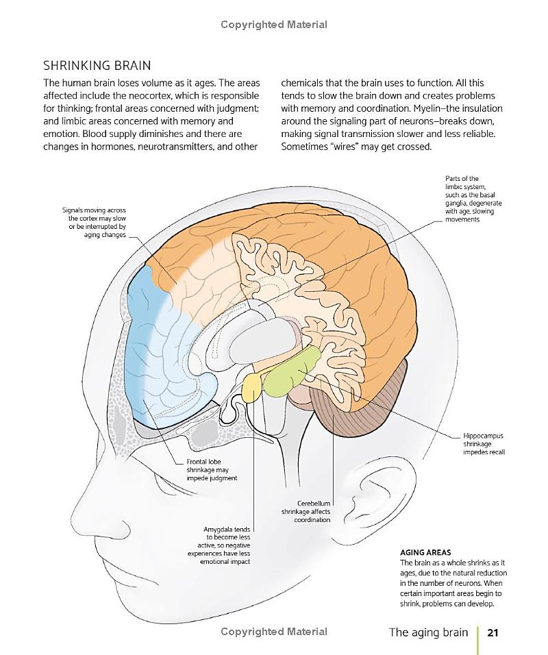 The Brain Fitness Book: Activities And Puzzles To Keep Your Mind Active And Healthy PDF đọc ebook online, epub online, nghe sách nói audio miễn phí.