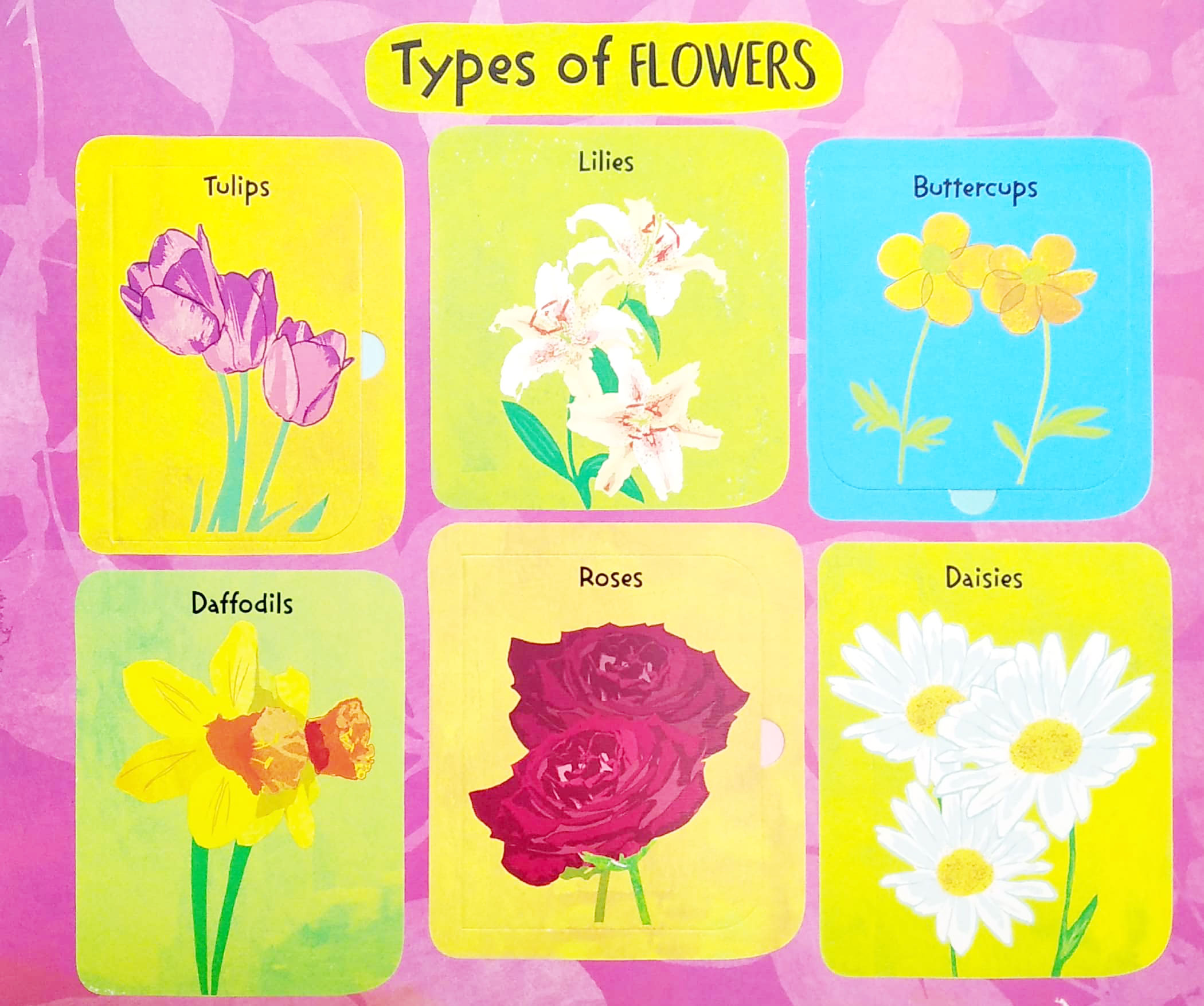 The Life Cycle Of Flowers - FAHASA.COM