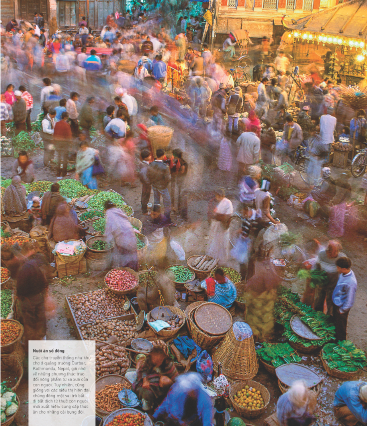 The Story Of Food - Câu Chuyện Thực Phẩm PDF The Story Of Food - Câu Chuyện Thực Phẩm PDF
