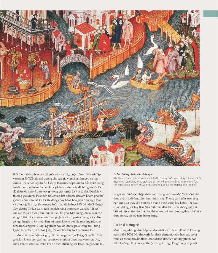 The Story Of Food - Câu Chuyện Thực Phẩm PDF The Story Of Food - Câu Chuyện Thực Phẩm PDF