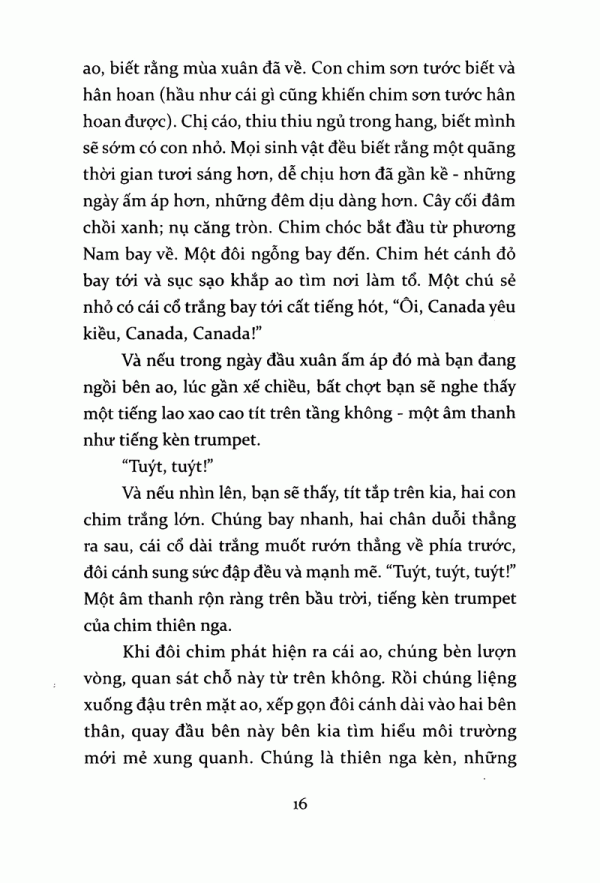 Tiếng Kèn Thiên Nga PDF Tiếng Kèn Thiên Nga PDF