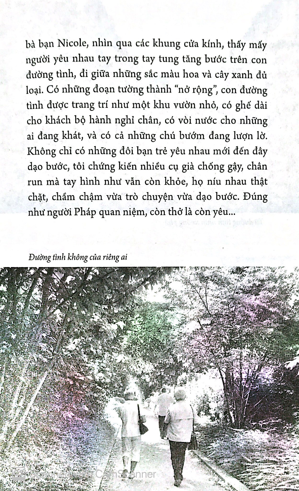 Trả Lại Nụ Hôn PDF