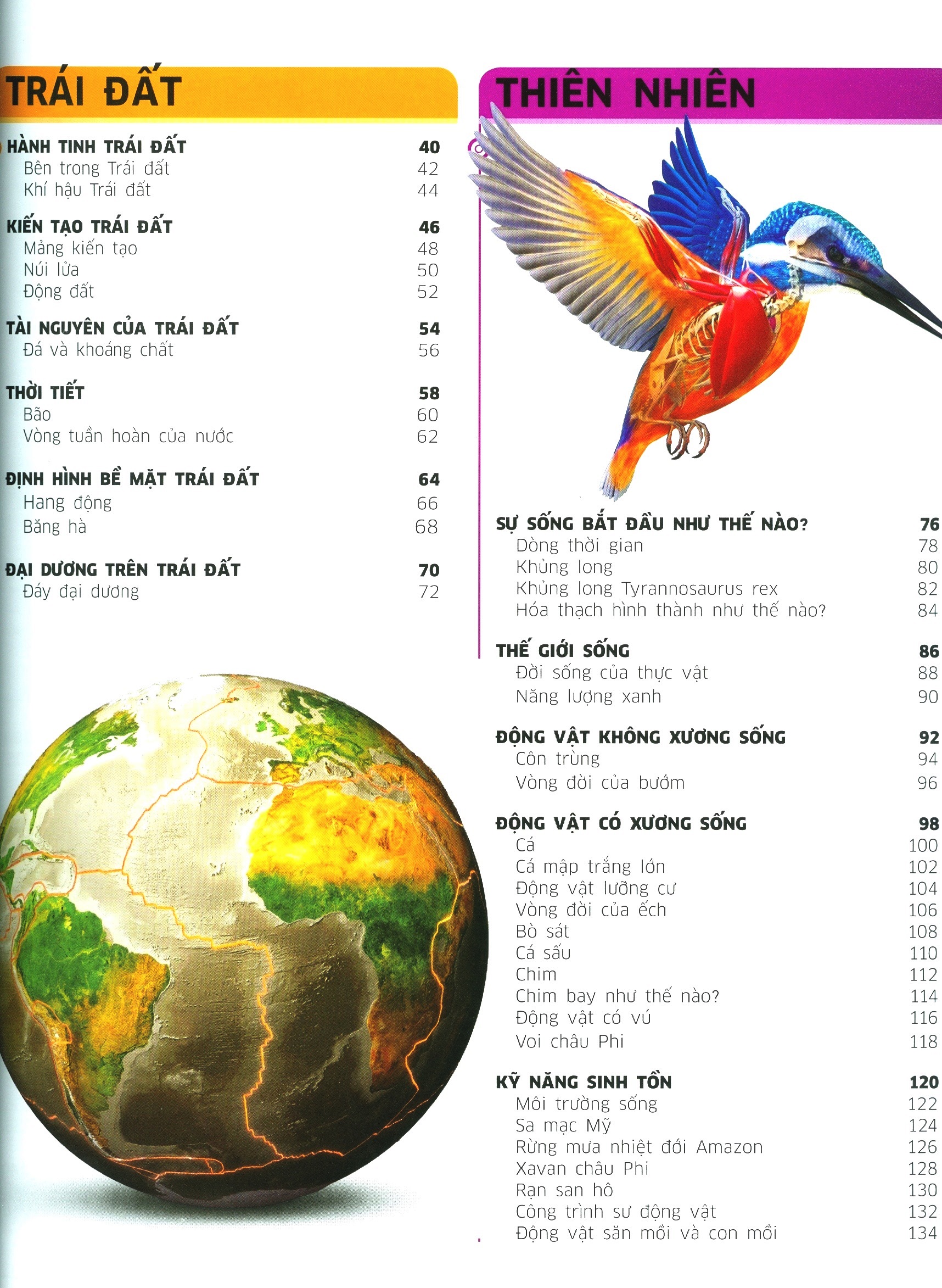 Tải sách Tri Thức Về Vạn Vật - Một Thế Giới Trực Quan Chưa Từng Thấy PDF đọc ebook online, epub online, nghe sách nói audio miễn phí.