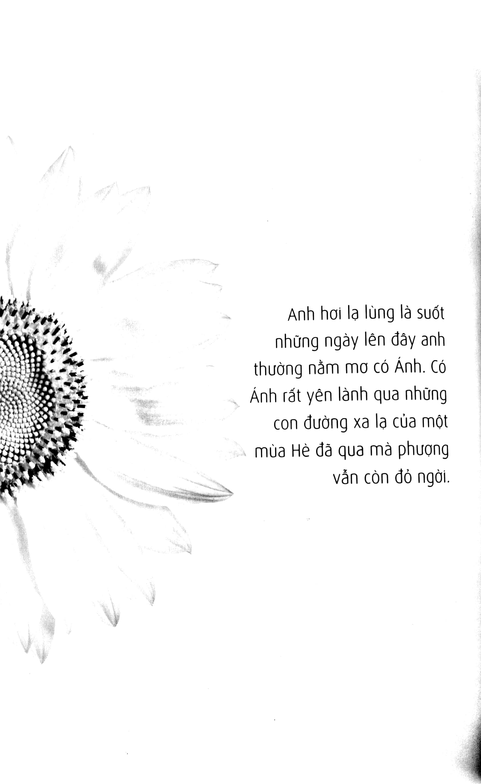 Trịnh Công Sơn - Thư Tình Gửi Một Người PDF đọc ebook online, epub online, nghe sách nói audio miễn phí.