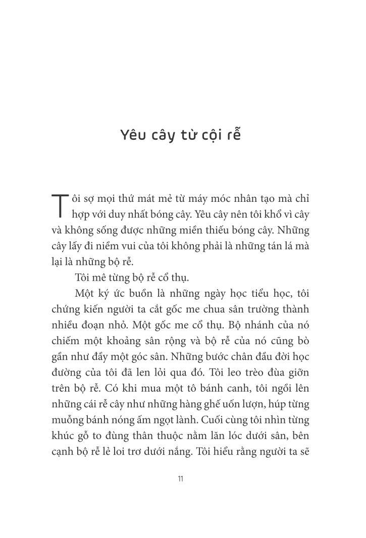 Trò Chuyện Với Lục Bình PDF Trò Chuyện Với Lục Bình PDF