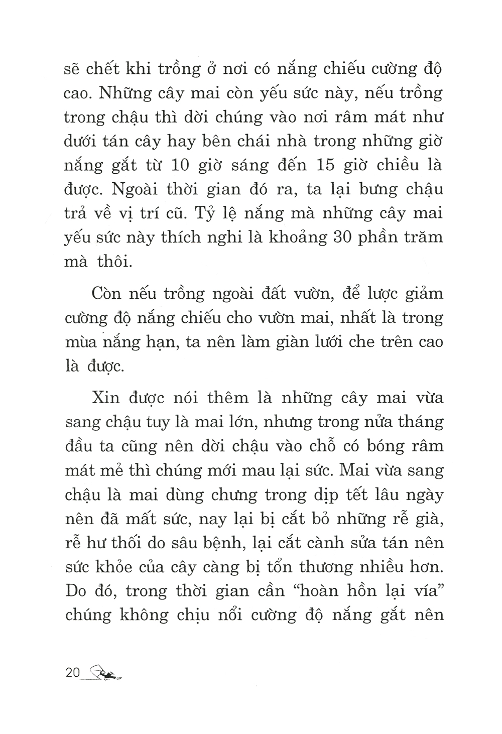 Trồng Mai - Kỹ Thuật Bón Tưới, Phòng Trừ Sâu Rầy, Bệnh Hại PDF Trồng Mai - Kỹ Thuật Bón Tưới, Phòng Trừ Sâu Rầy, Bệnh Hại PDF