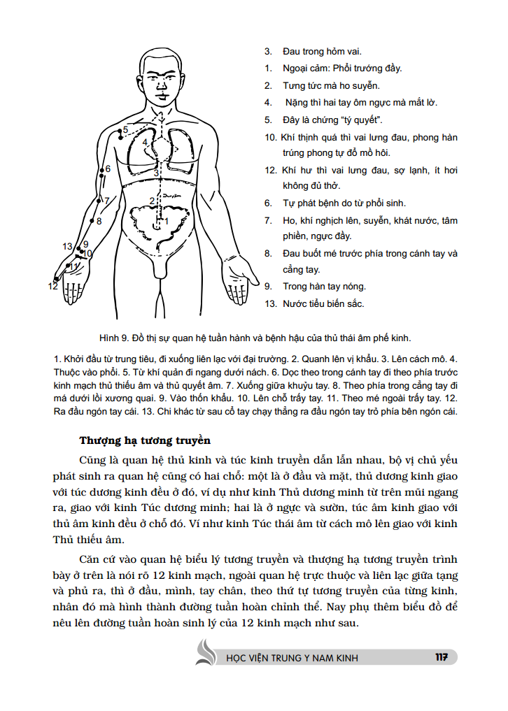 Trung Y Học Khái Luận Quyển Thượng PDF Trung Y Học Khái Luận Quyển Thượng PDF