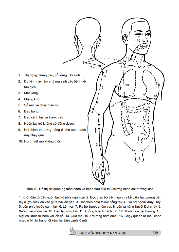 Trung Y Học Khái Luận Quyển Thượng PDF Trung Y Học Khái Luận Quyển Thượng PDF