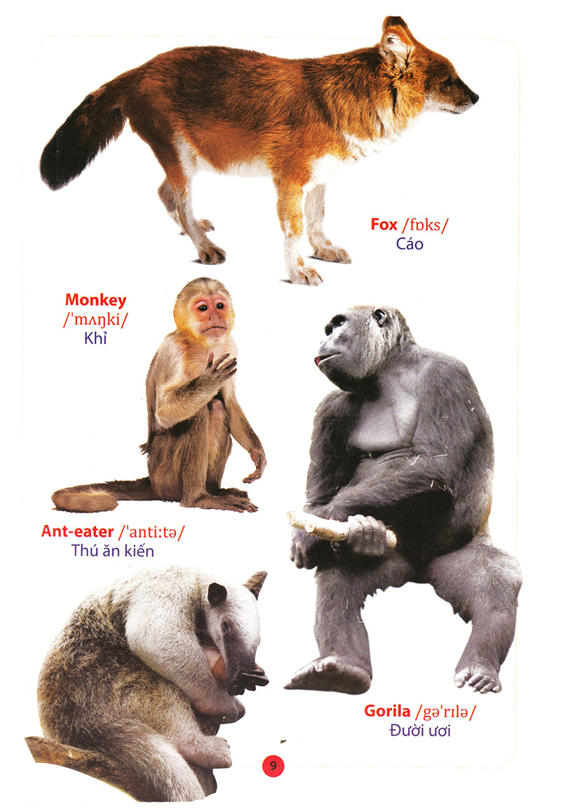 Product image 10 