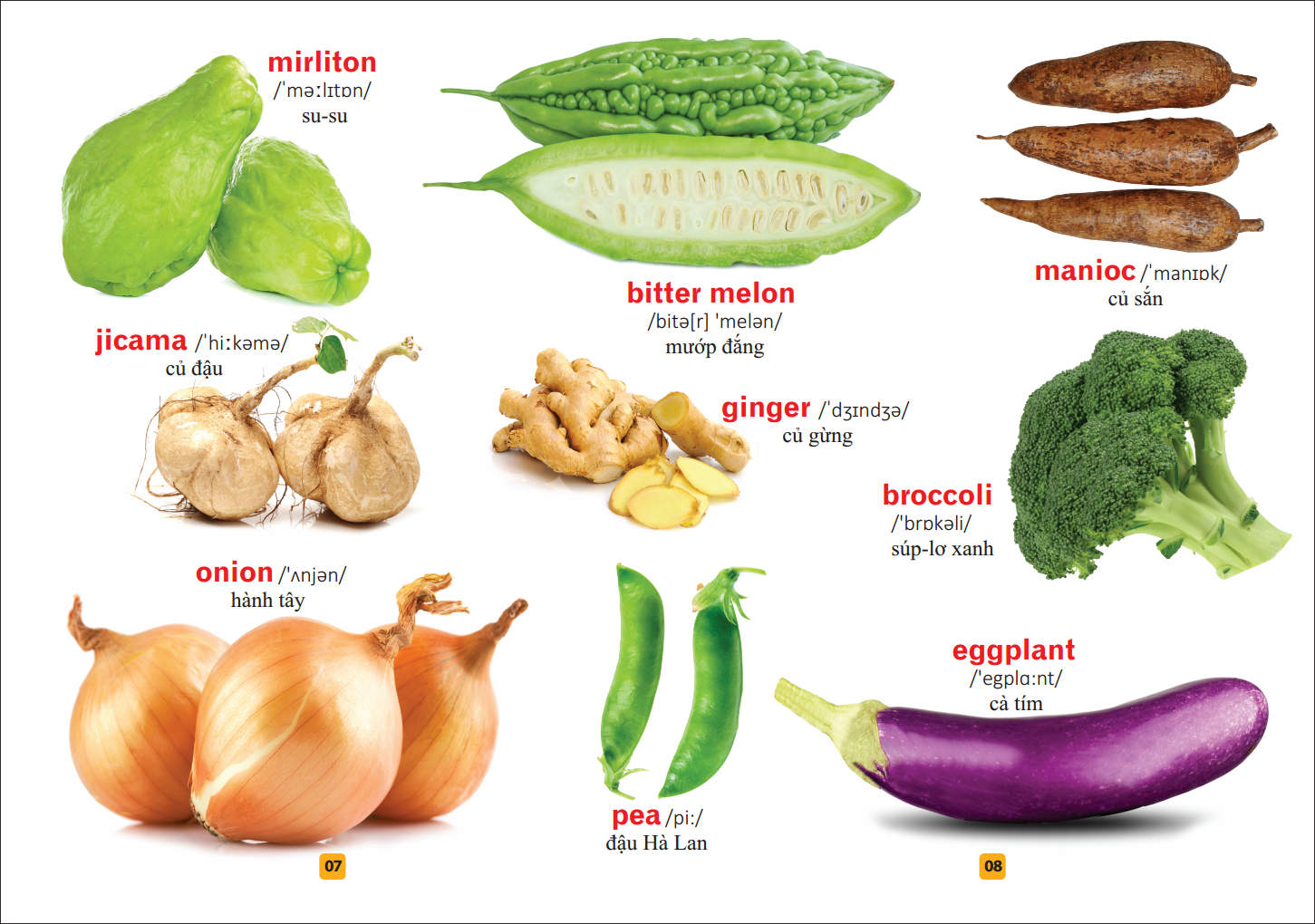 Từ Điển Bằng Tranh - Rau Củ Quả (Tái Bản 2020) - FAHASA.COM