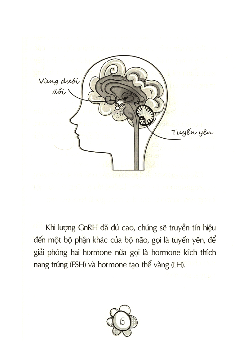 Tải sách Tuổi Dậy Thì - Từ “Cô Bé