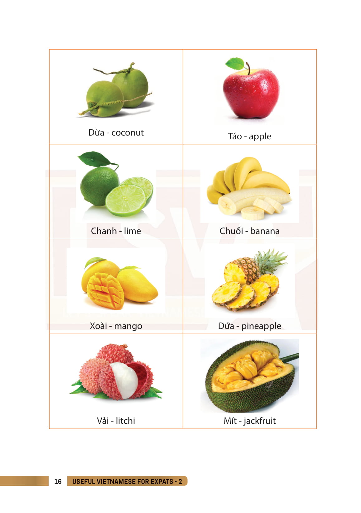 Bộ Useful Vietnamese For Expats 2 PDF Bộ Useful Vietnamese For Expats 2 PDF