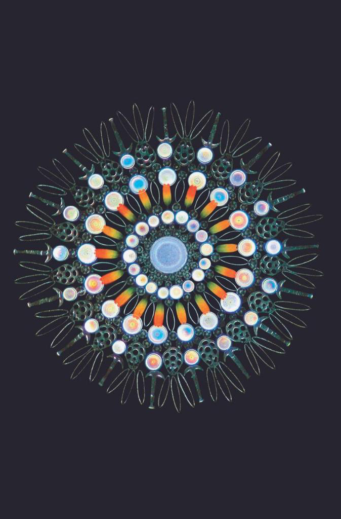 Vũ Trụ - Những Thế Giới Khả Hữu - Cosmos - Possible Worlds - Bìa Cứng PDF Vũ Trụ - Những Thế Giới Khả Hữu - Cosmos - Possible Worlds - Bìa Cứng PDF