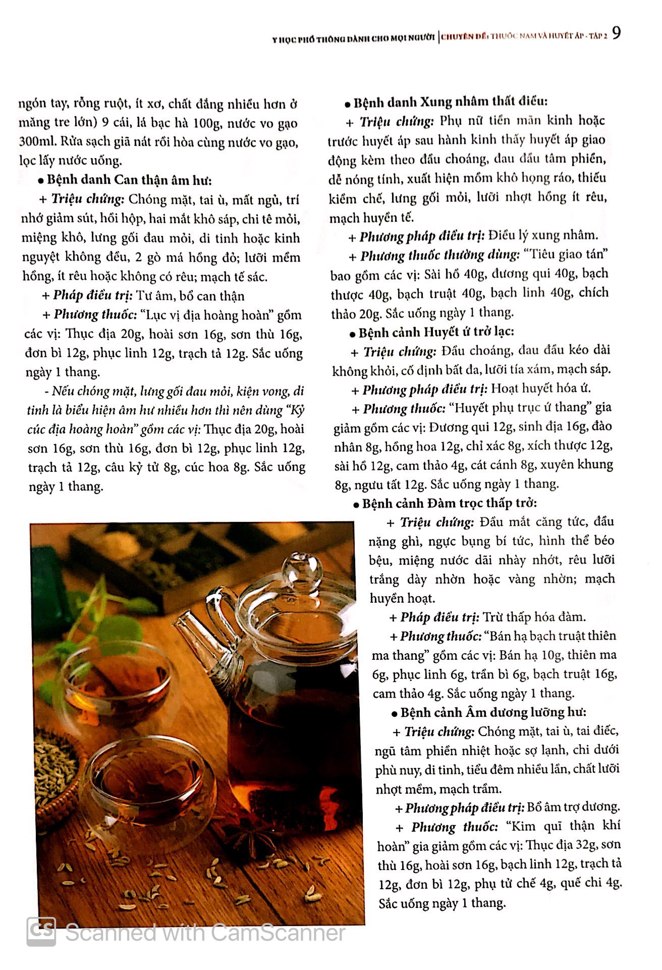 Bộ Y Học Phổ Thông - Thuốc Nam Và Huyết Áp Tập 2 PDF