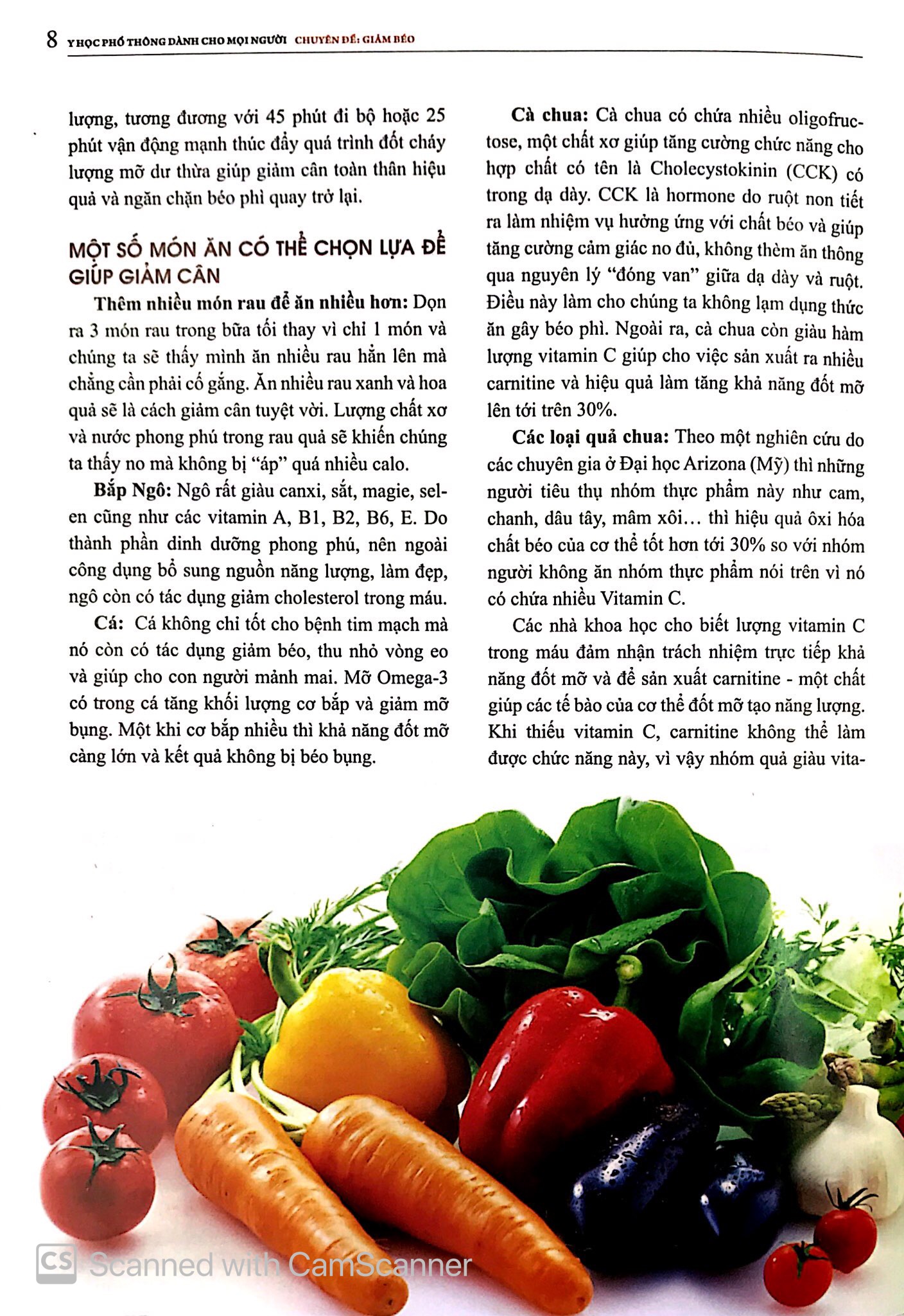 Tải sách Y Học Phổ Thông Dành Cho Mọi Người - Chuyên Đề: Giảm Béo PDF đọc ebook online, epub online, nghe sách nói audio miễn phí.
