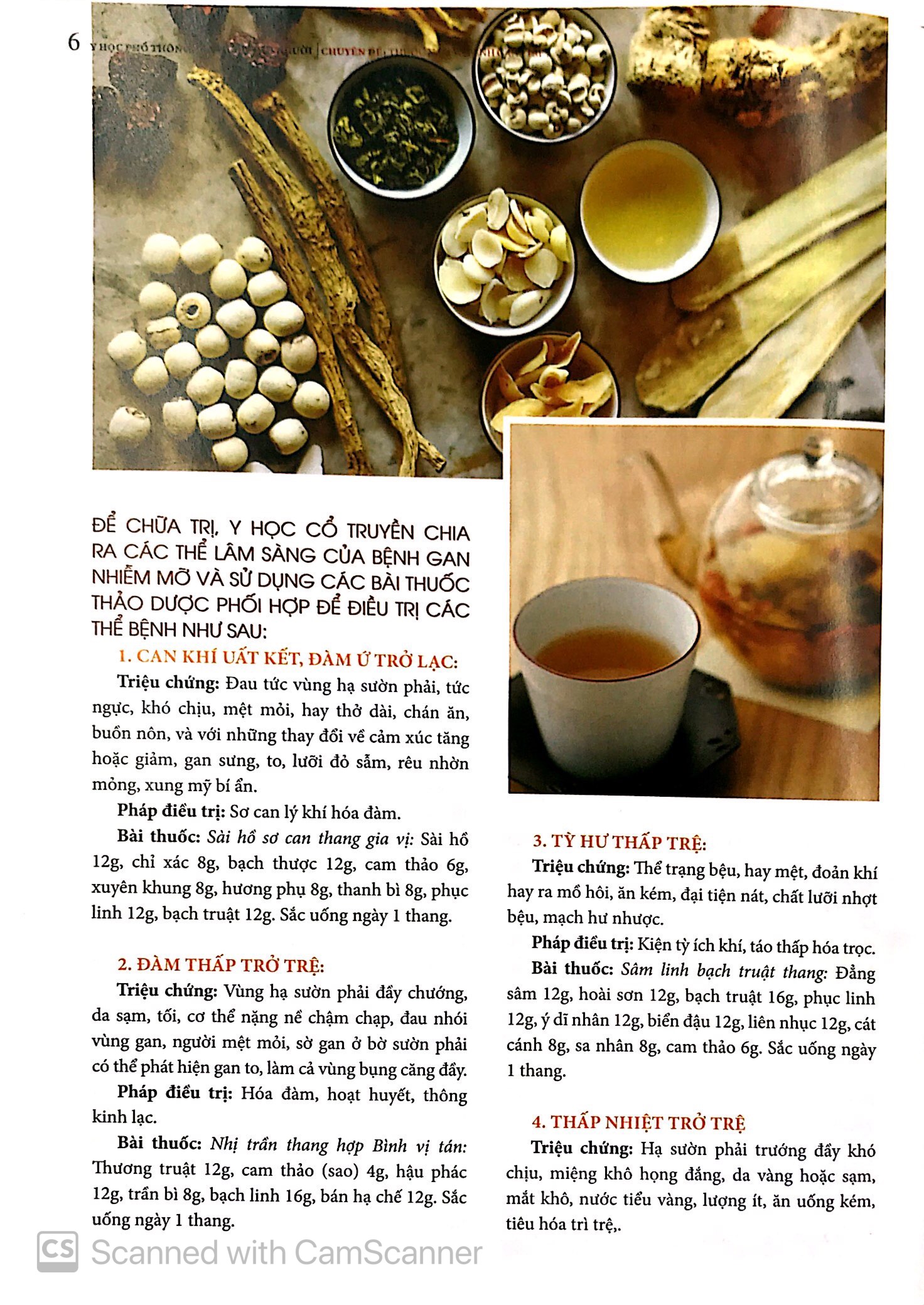 Bộ Y Học Phổ Thông Dành Cho Mọi Người - Chuyên Đề: Thuốc Nam Và Bệnh Gan Tập 2 PDF