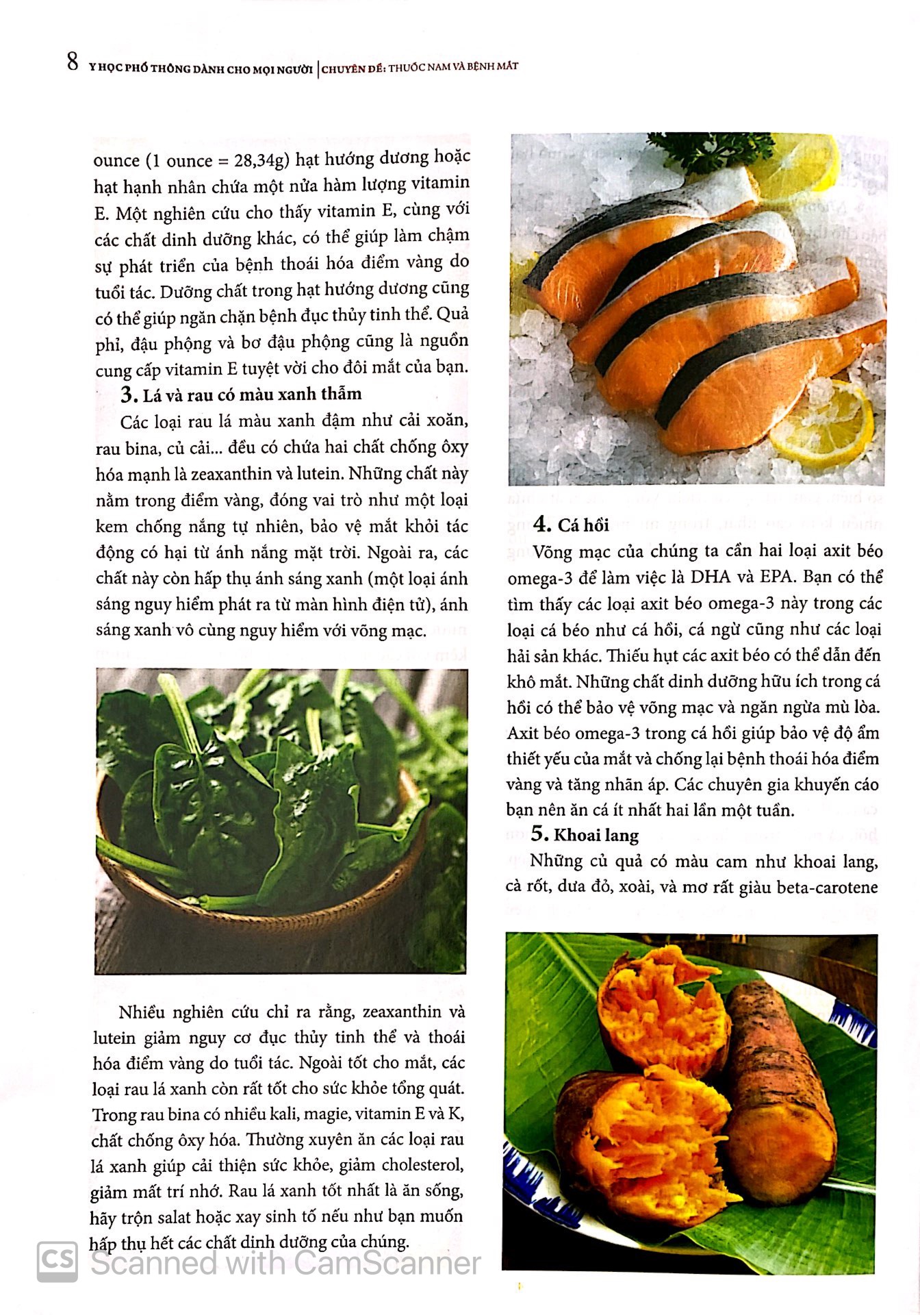 Y Học Phổ Thông Dành Cho Mọi Người - Chuyên Đề: Thuốc Nam Và Bệnh Mắt PDF đọc ebook online, epub online, nghe sách nói audio miễn phí.