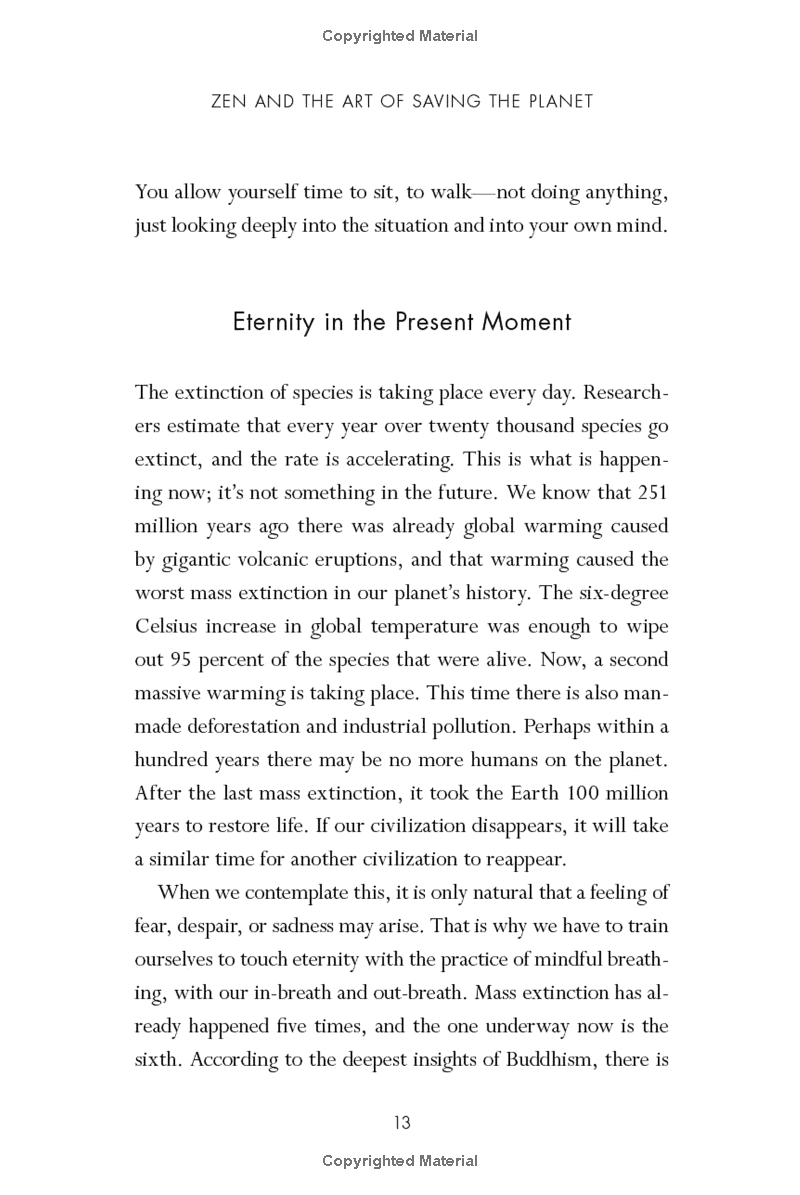 Zen And The Art Of Saving The Planet PDF đọc ebook online, epub online, nghe sách nói audio miễn phí.